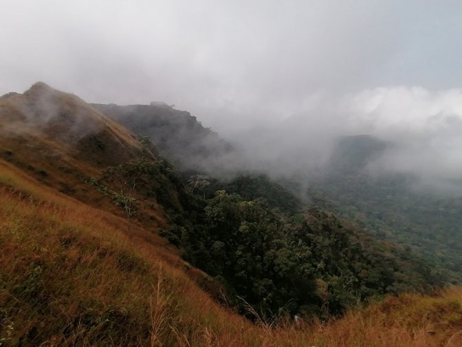 View of mid-altitude forest at 1200m, ENNR © M. Languy